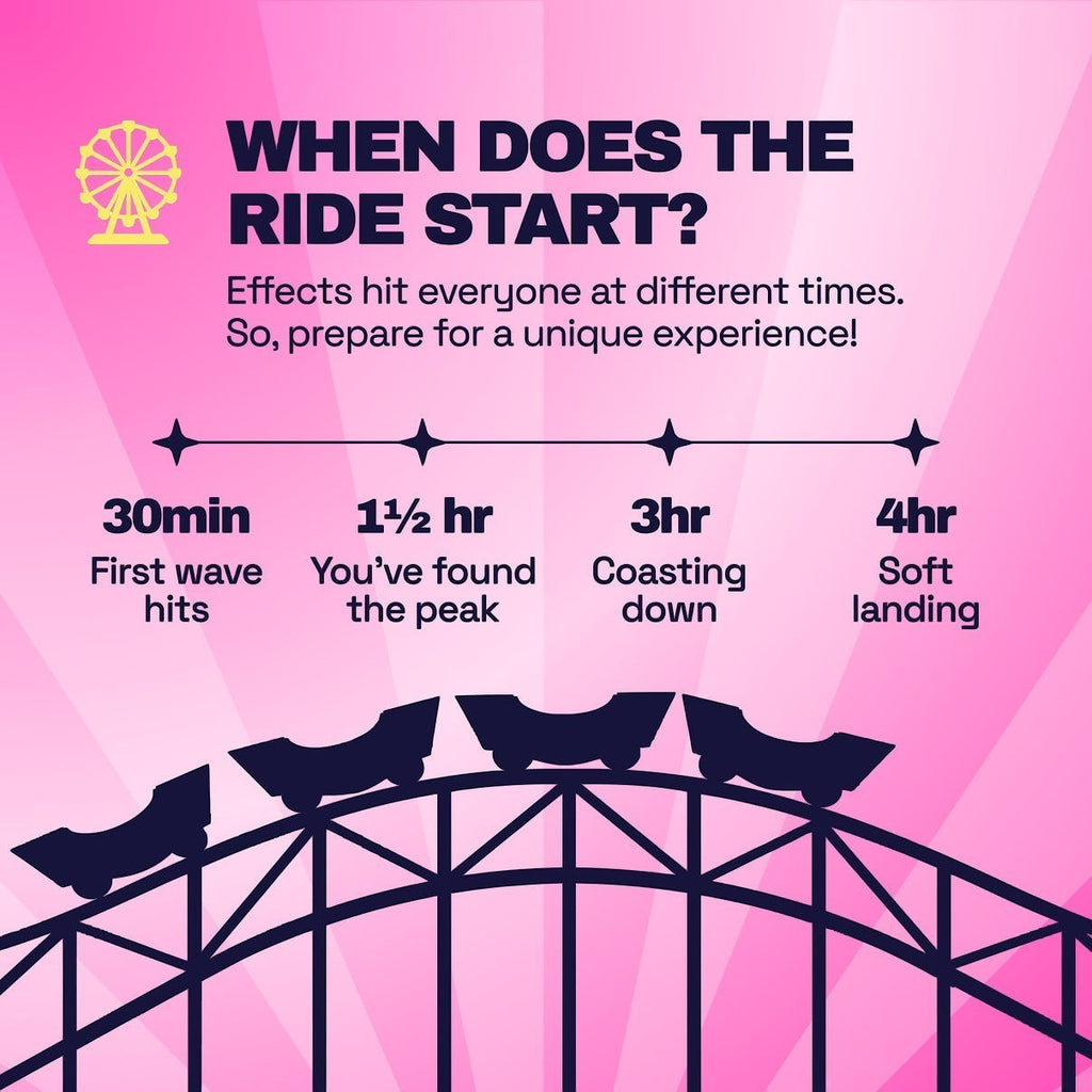 Dr. Wonderstone Daily Mood Gummies infographic showing a roller coaster timeline for effect duration and onset.