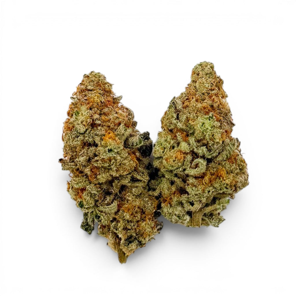 Dr. Wonderstone Orange Blueberry Muffin indoor THCa flower buds with bright green leaves and vibrant orange pistils.