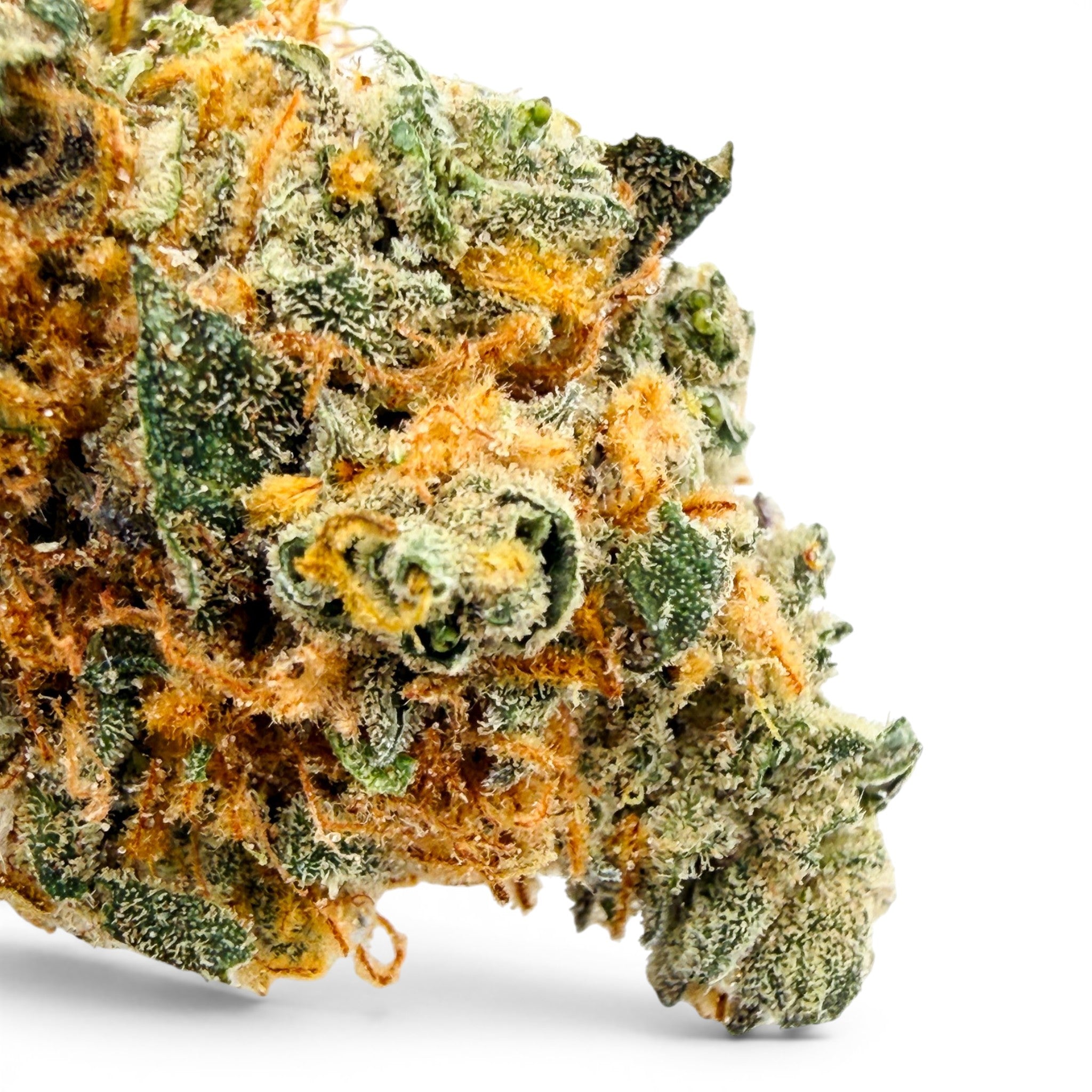dr-wonderstone-orange-