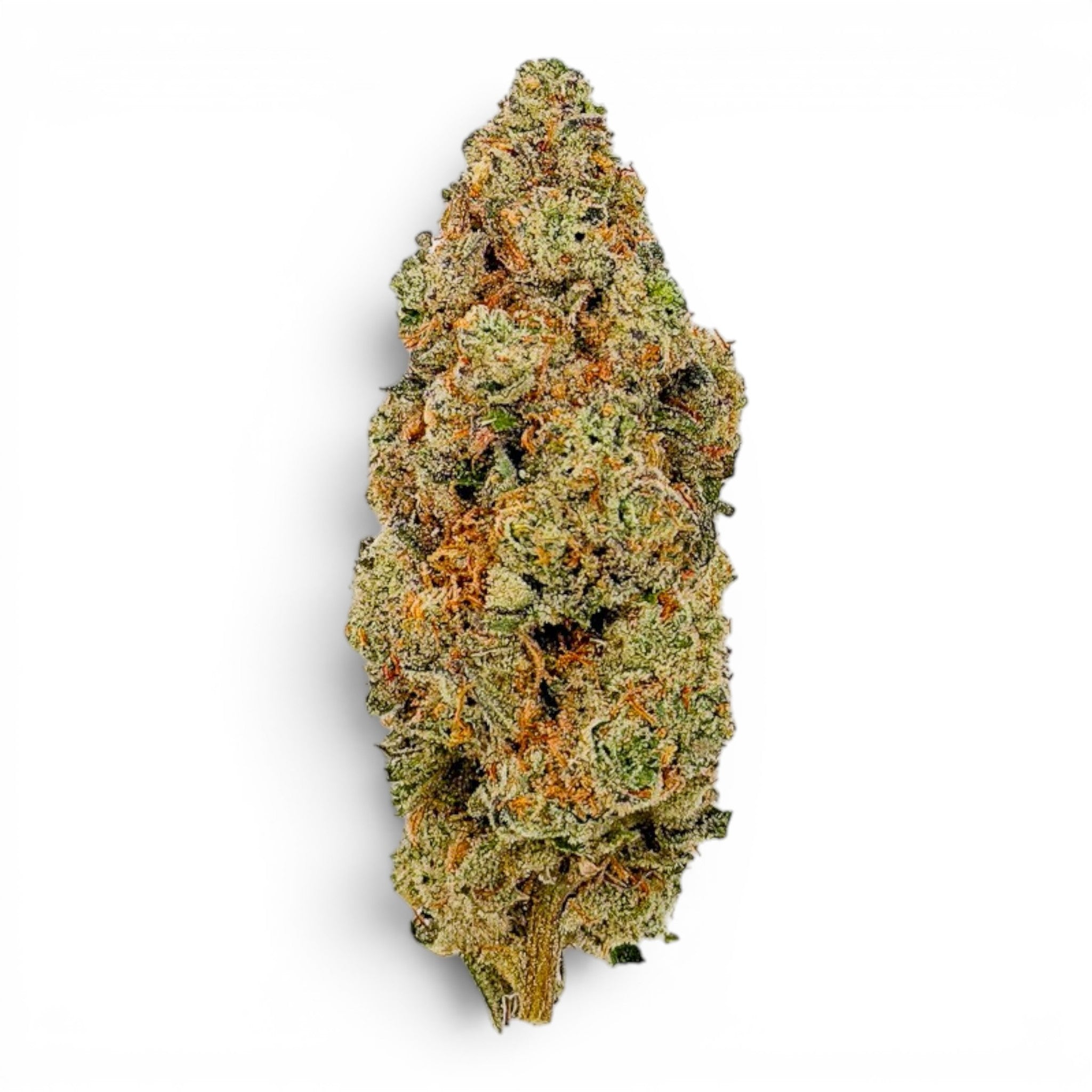 Dr. Wonderstone Orange Blueberry Muffin THCa flower bud with dense green structure, orange pistils, and trichomes.