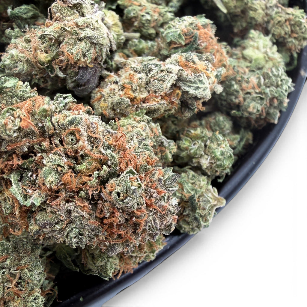 Dr. Wonderstone Pancakes premium THCa flower buds with dense green foliage and vibrant orange pistils.