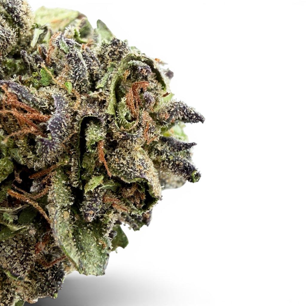Dr. Wonderstone Pineapple THCa flower bud with dense green and purple leaves, orange pistils, and heavy trichome coating.