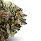 Dr. Wonderstone Pineapple THCa flower bud with dense green and purple leaves, orange pistils, and heavy trichome coating.