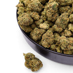 Dr. Wonderstone Purple Rhino exotic THCa flower buds with dense green texture and orange pistils in a black bowl