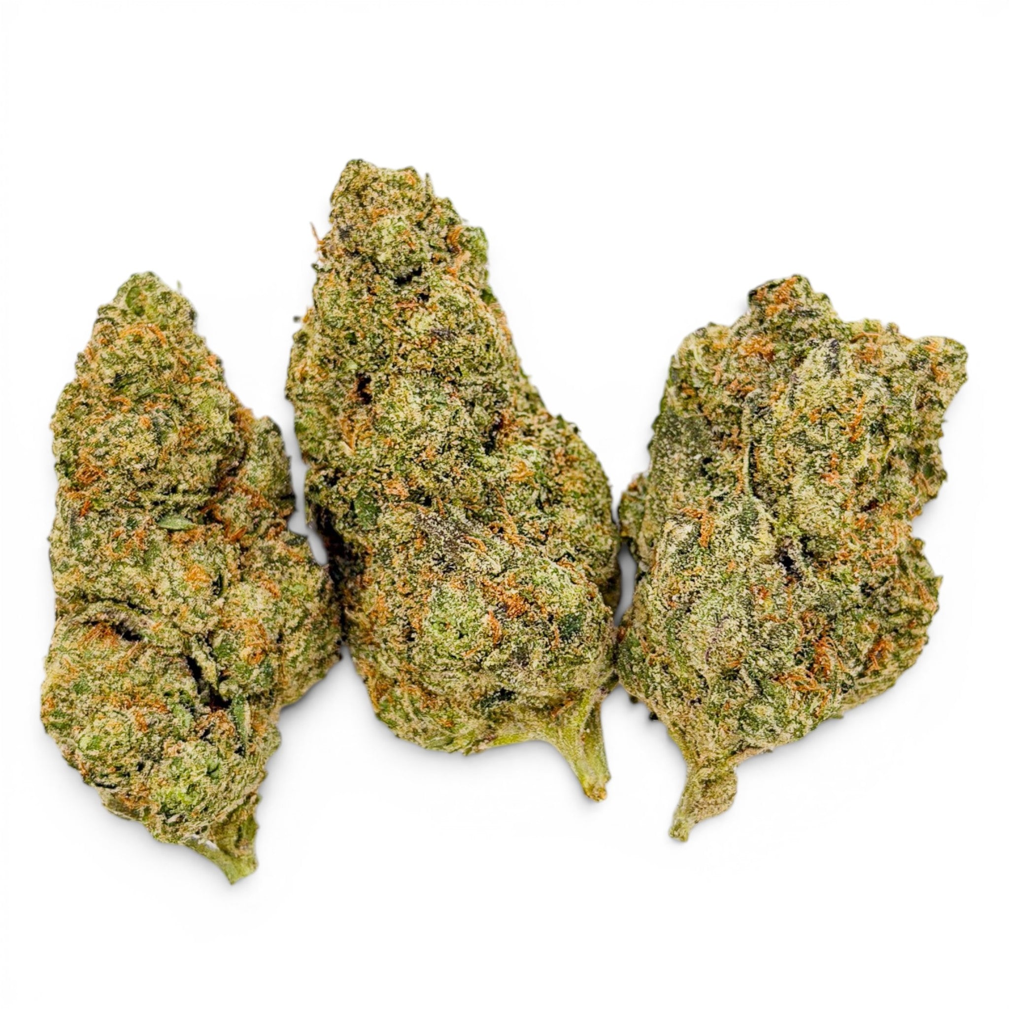 dr-wonderstone-purple-rhino-