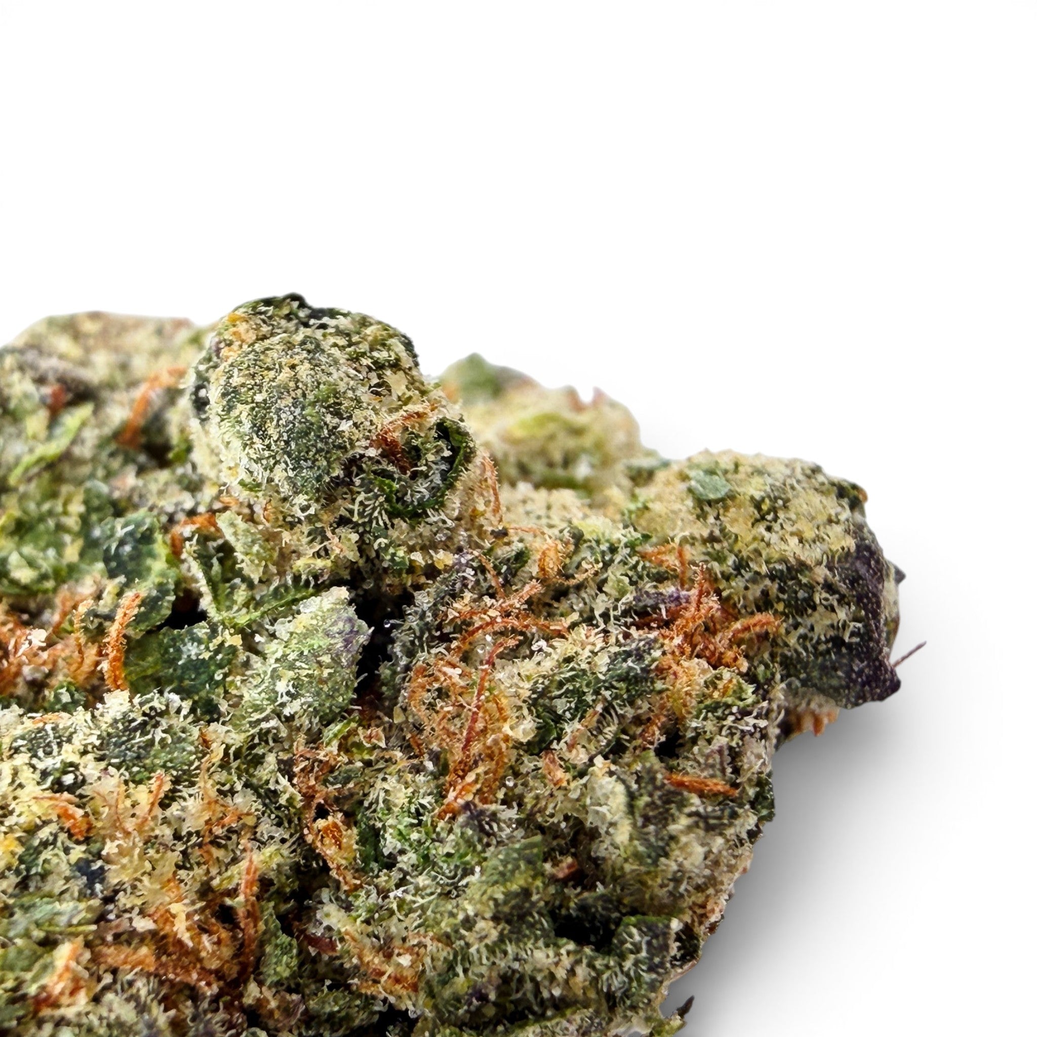 Dr. Wonderstone Purple Rhino exotic THCa flower bud with deep purple hues, green leaves, and orange pistils.