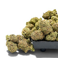 Dr. Wonderstone Rainbow Sherbet-11 premium THCa flower buds with dense green texture on a black display tray.