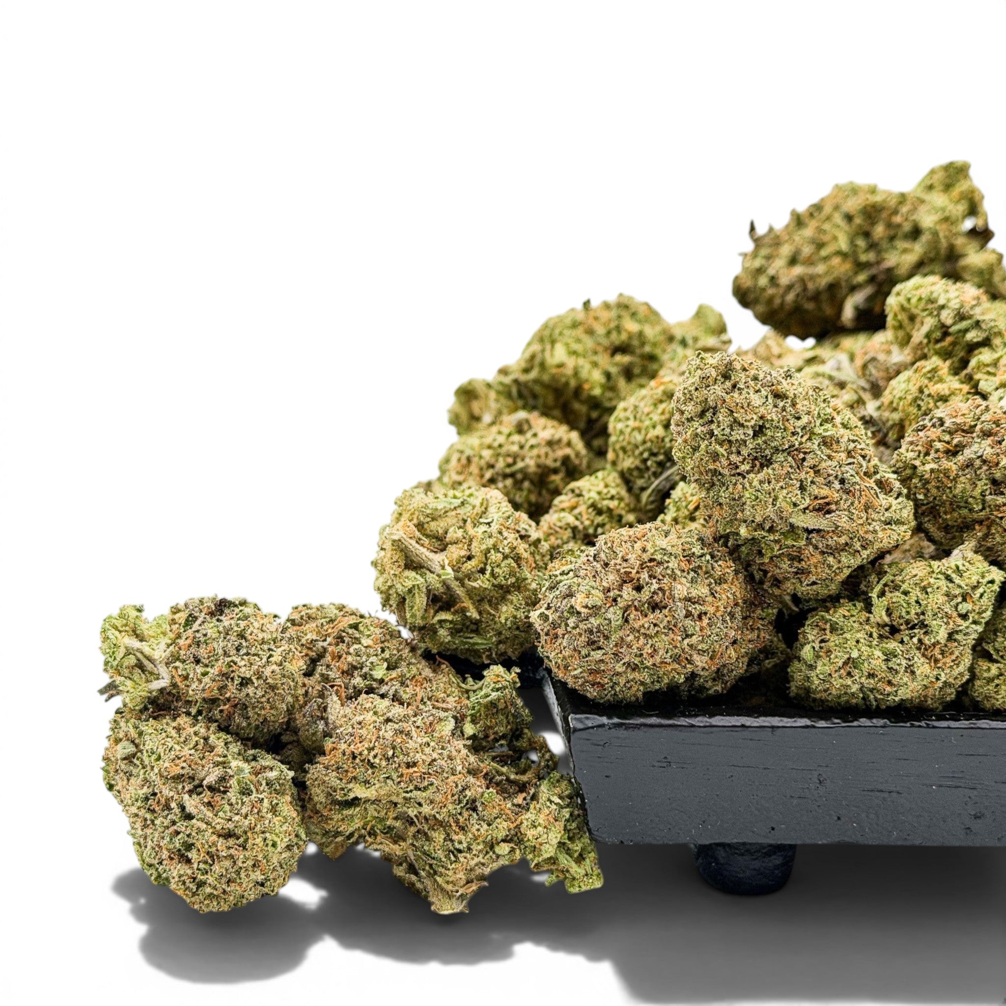 Dr. Wonderstone Rainbow Sherbet-11 premium THCa flower buds with dense green texture on a black display tray.