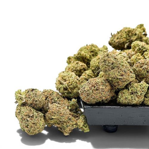 Dr. Wonderstone Rainbow Sherbet-11 premium THCa flower buds with dense green texture on a black display tray.