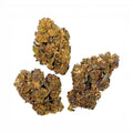 Dr. Wonderstone Runtz value THCa flower buds with deep green and purple hues on a clean white background