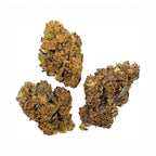 Dr. Wonderstone Runtz value THCa flower buds with deep green and purple hues on a clean white background
