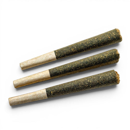 Three Dr. Wonderstone THCa flower pre-rolls with white paper filters on a clean white background.