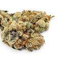 Dr. Wonderstone Toffee Headz premium THCa flower bud with dense green foliage, purple hues, and orange pistils.