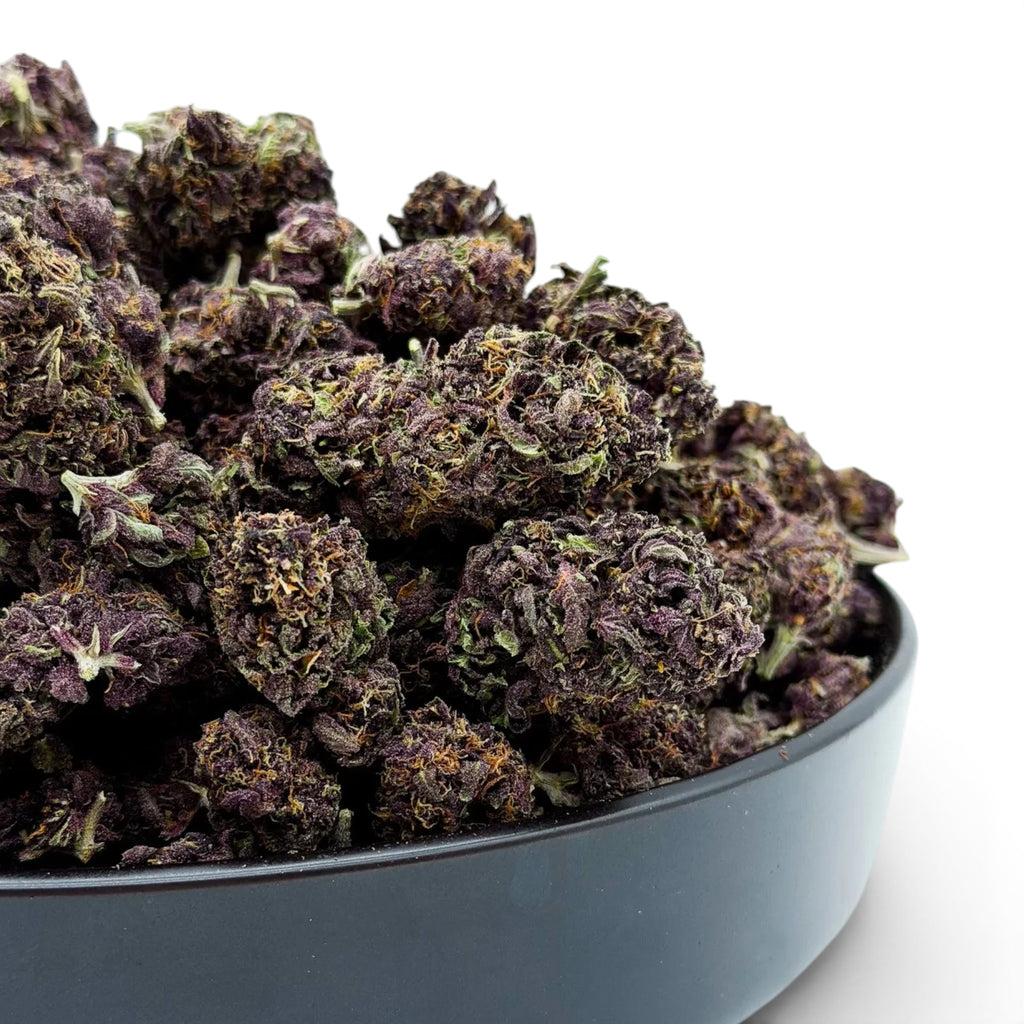 Dr. Wonderstone Tropical Cookies THCa flower featuring dense, dark purple buds with orange pistils in a black bowl.