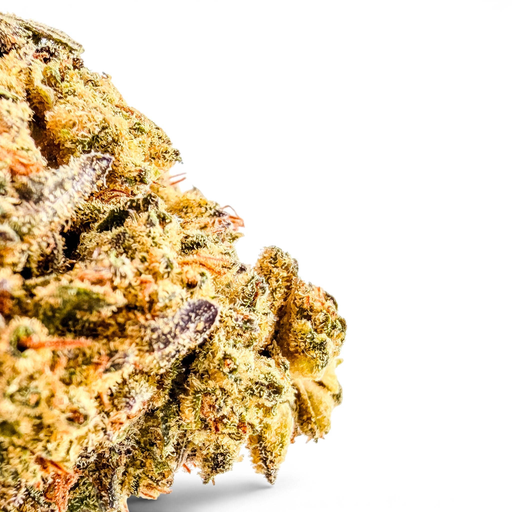 Dr. Wonderstone Wedding Cake THCa flower bud with dense, crystal-dusted green and orange trichomes.