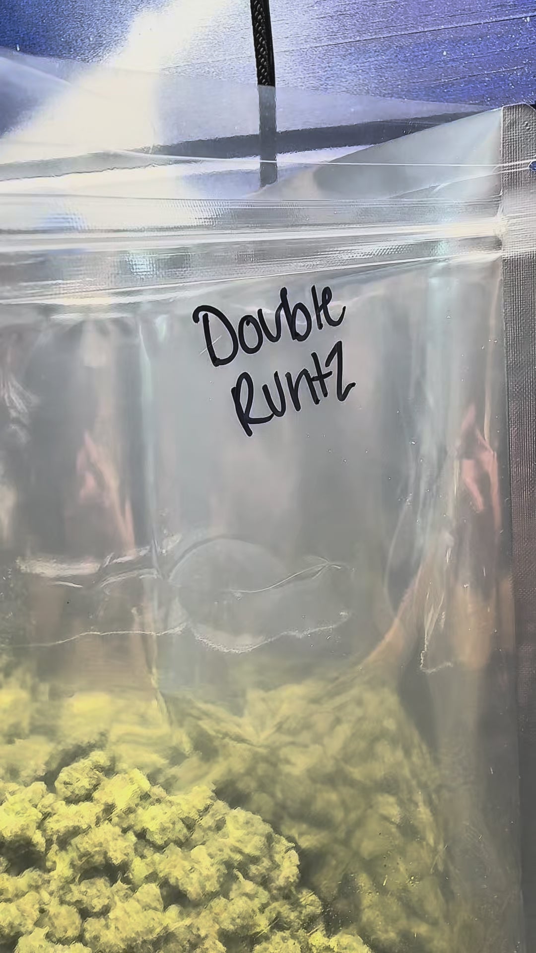 Double Runtz Value Indoor Wholesale THCa Flower